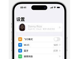 iPhone 设置中的 Apple ID 显示为灰色无法使用怎么办？