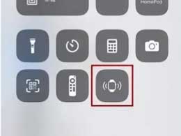 如何通过iPhone 呼叫 Apple Watch？
