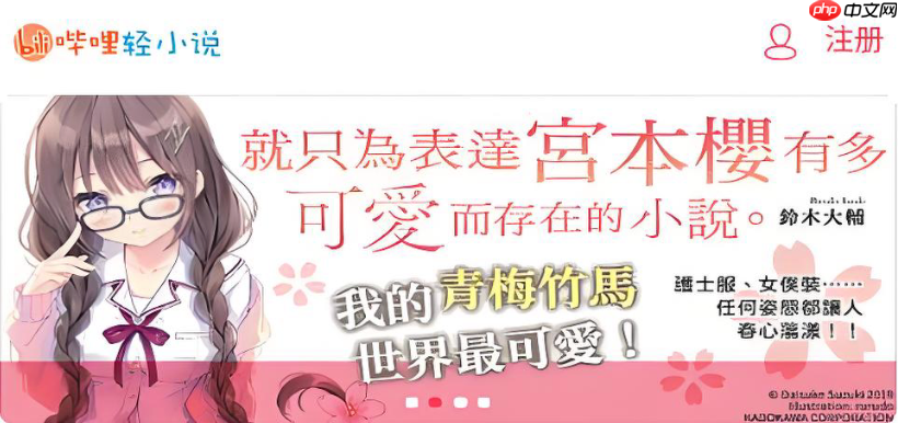 哔哩轻小说海外入口_海外用户访问阅读专区