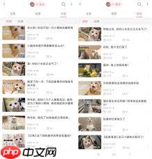 b站怎么投稿赚钱