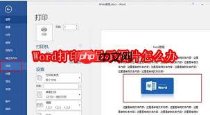 Word打印时图片不显示怎么办