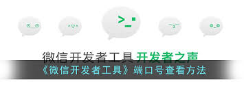 微信开发者工具如何查看端口号-微信开发者工具怎样查找端口号