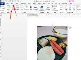word中图片旋转技巧-掌握如何高效批量旋转Word文档中的图片