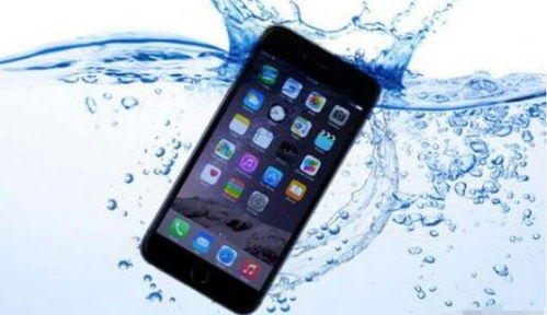 苹果手机听筒进水了怎么办-解决iPhone扬声器遇水故障方法指南-苹果手机扬声器进水如何处理