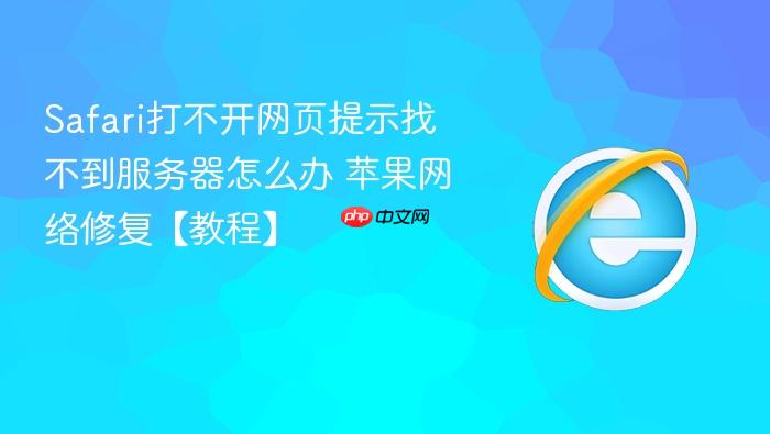 Safari打不开网页提示找不到服务器怎么办 苹果网络修复【教程】