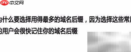 如何选好网站域名