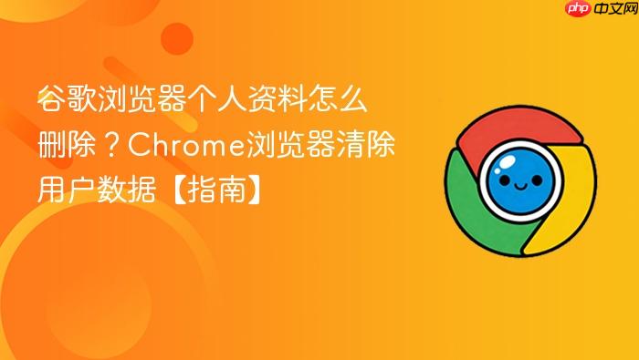 谷歌浏览器个人资料怎么删除？Chrome浏览器清除用户数据【指南】