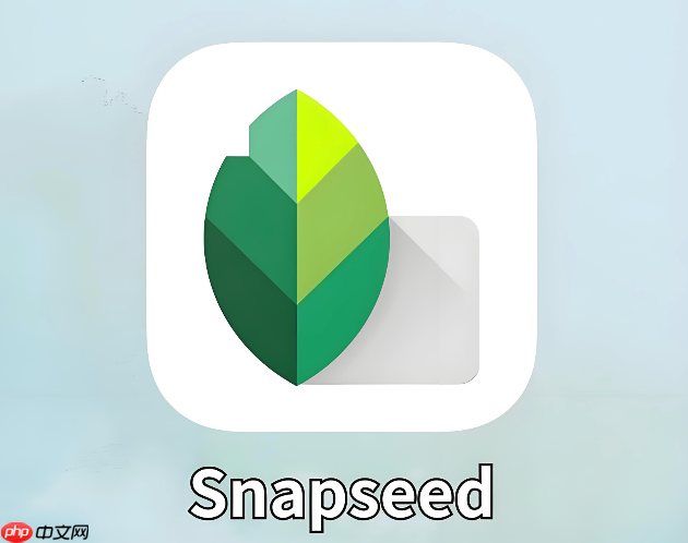 Snapseed怎么调整照片的透视和歪斜