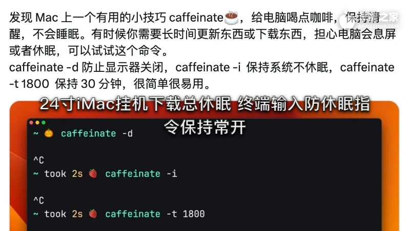 24寸iMac挂机下载总休眠 终端输入防休眠指令保持常开