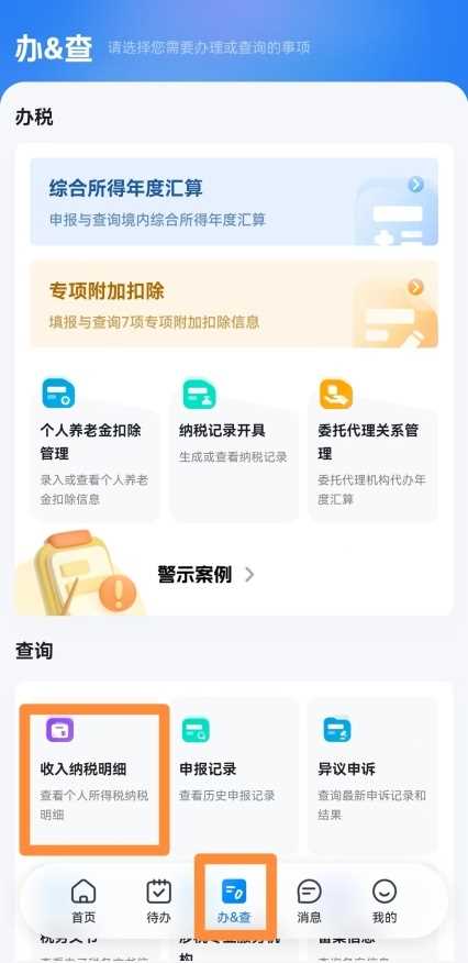 个人所得税App怎么按所得类型筛选收入记录