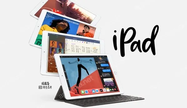 iPad Pro M4实况文本与图片文字转换技巧_iPadOS高效操作攻略