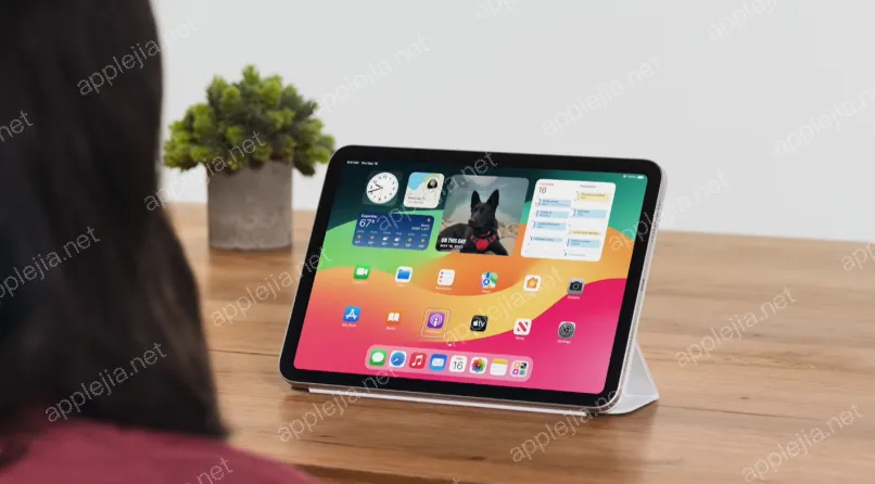iPad 10如何设置充电到80%停止